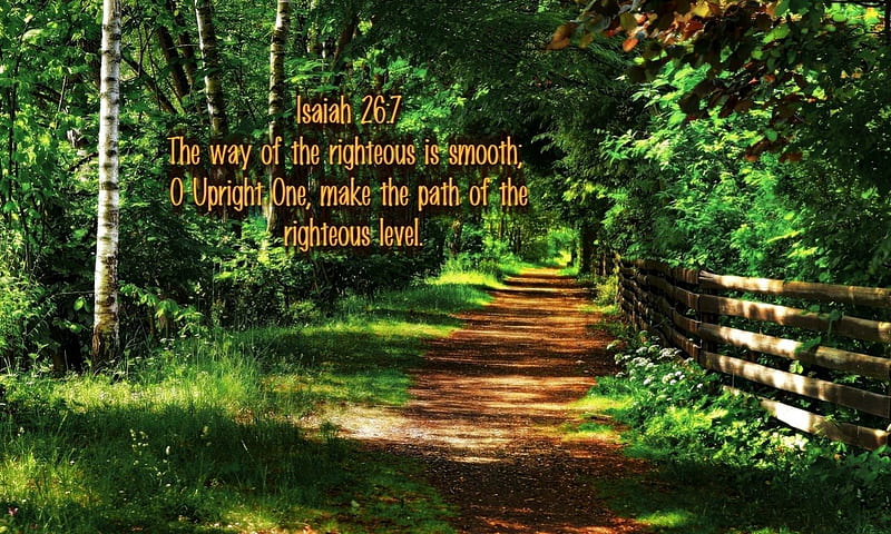 Make the Path, forest, paths, bible verses, jesus, scriptures, path, nature, walking, bible, god, holy spirit, HD wallpaper