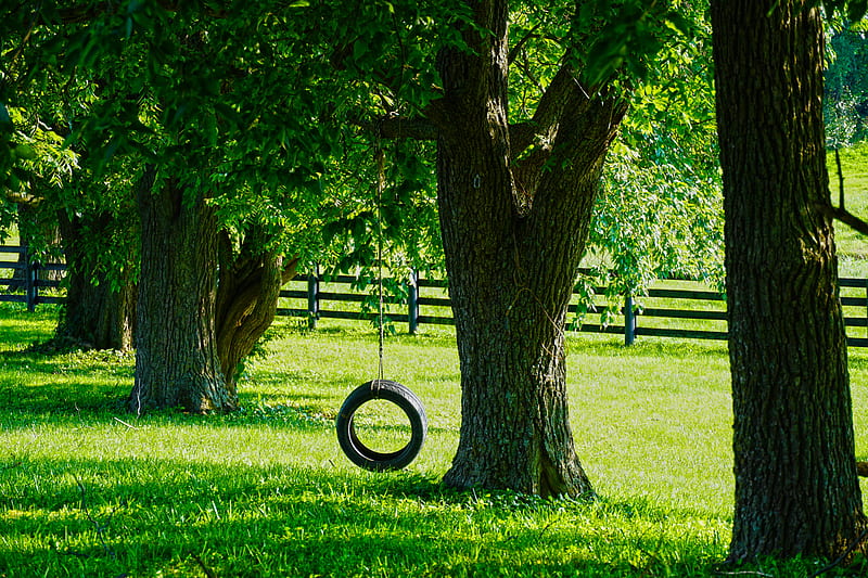 Tire Swing Farm, farm, tire swing, country, tireswing, HD wallpaper