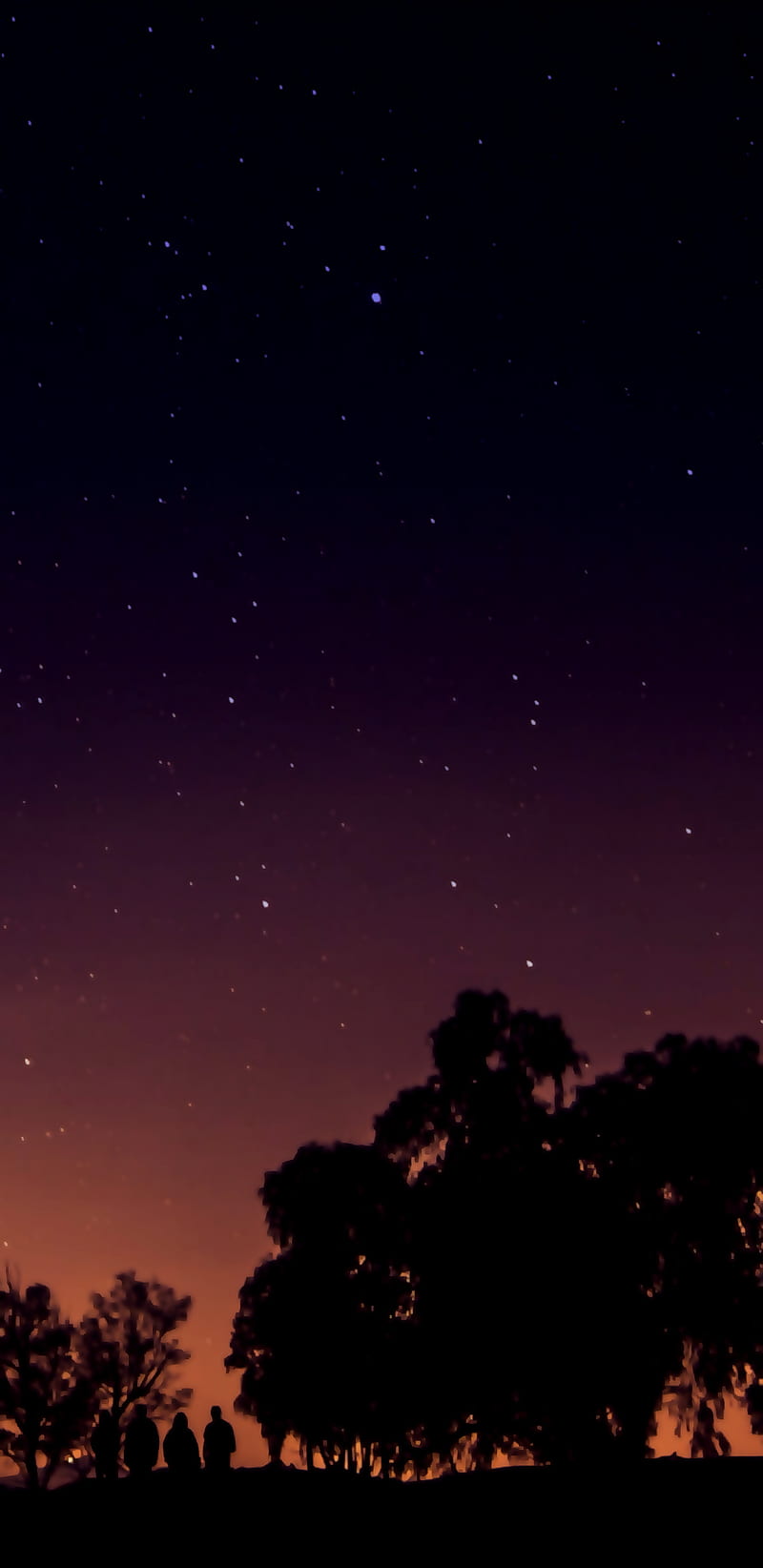 Sunset with friends, night, purple, sky, star, trees, HD phone wallpaper |  Peakpx