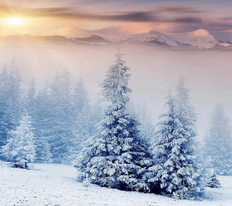 Winter, cold, hills, mountain, nature, sunrise, sunset, trees, HD ...