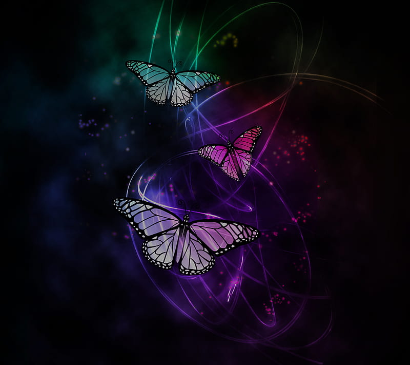 Rainbow Butterfly wallpaper by EvAngelC83  Download on ZEDGE  5db9