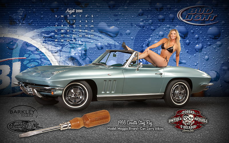 Sting Vette Ray, hot, model, sexy, bikini, HD wallpaper