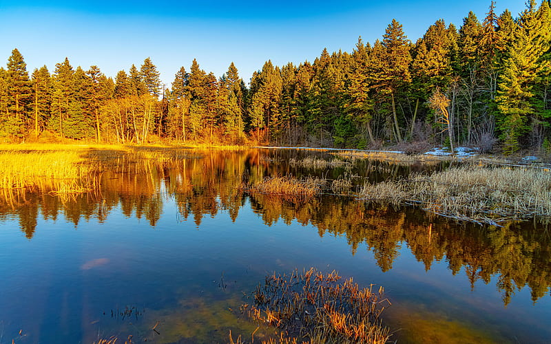 Lake Trees Forest 2021 Autumn Scenery, HD wallpaper | Peakpx