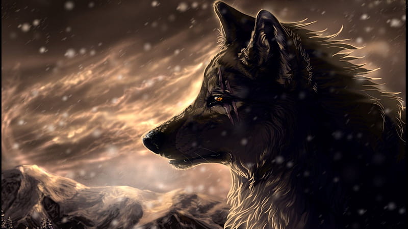 Wolf, scar, winter, pack, HD wallpaper