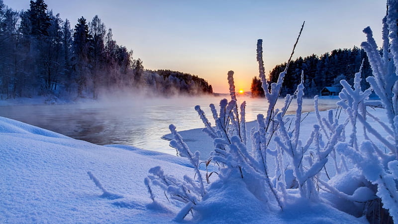 steam rising from a river in winter, forest, ice, river, sunset, steam, winter, HD wallpaper