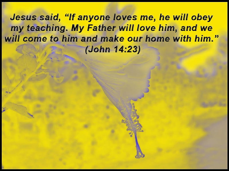 John 14:23, John, bible, Christ, Jesus, HD wallpaper