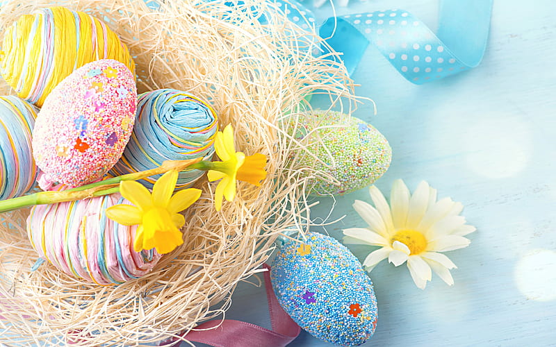 Happy Easter flowers, Easter eggs, chamomile, easter decoration, Easter, HD wallpaper