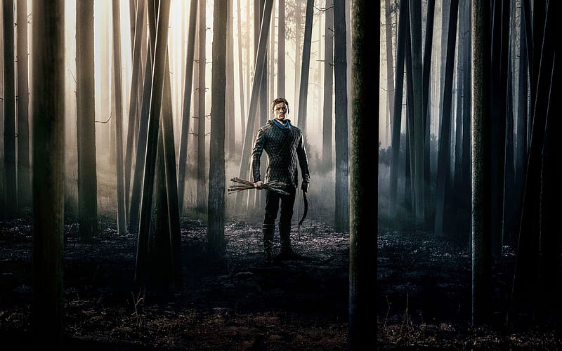 Robin Hood, 2018, Taron David Egerton, American actor, poster, forest, archer, HD wallpaper