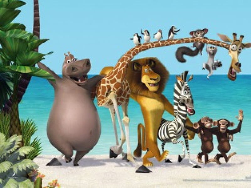 Madagascar, jirafa, película, rinoceronte, león, Fondo de pantalla HD |  Peakpx