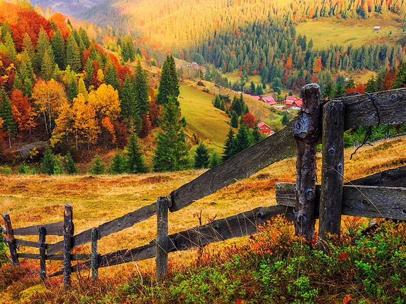 Autumn in Romania, hills, fence, forest, fall, autumn, colors, bonito, trees, Romania, foliage, mounyain, slope, HD wallpaper