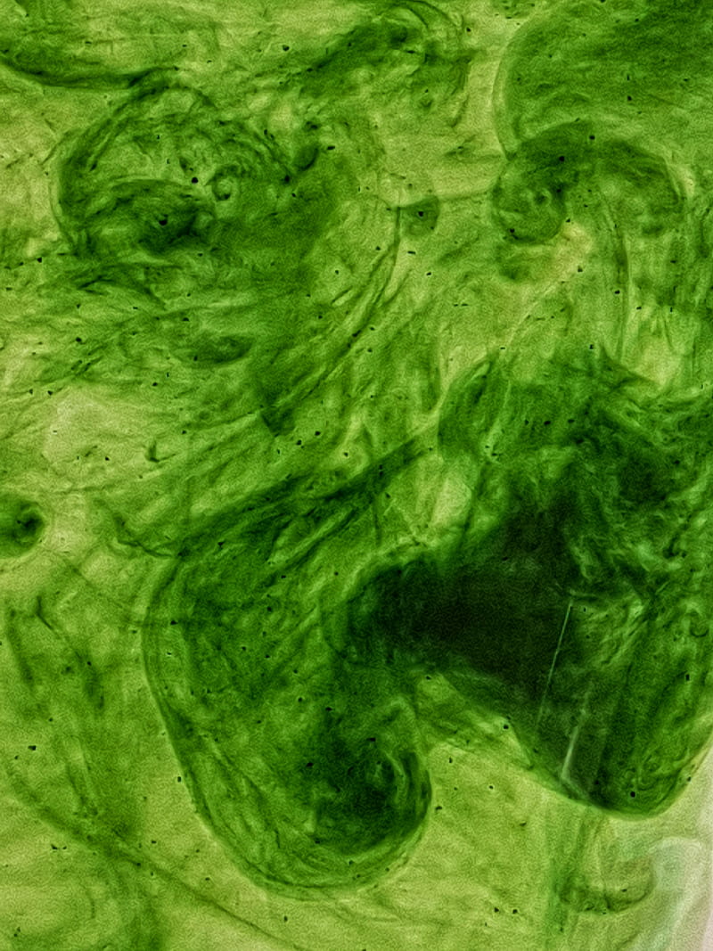 Green Swirl, art, colour, colours, cool, experiment, experimental, green, nebulae, psicodelia, water, HD phone wallpaper