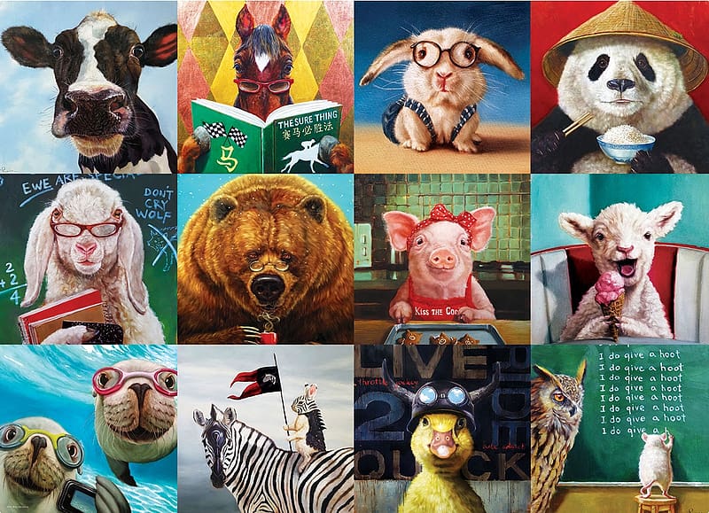 :D, rabbit, panda, collage, lamb, bunny, burd, bear, urs, duckling, animal, zebra, sheep, funny, seal, bird, pig, cow, pasari, HD wallpaper