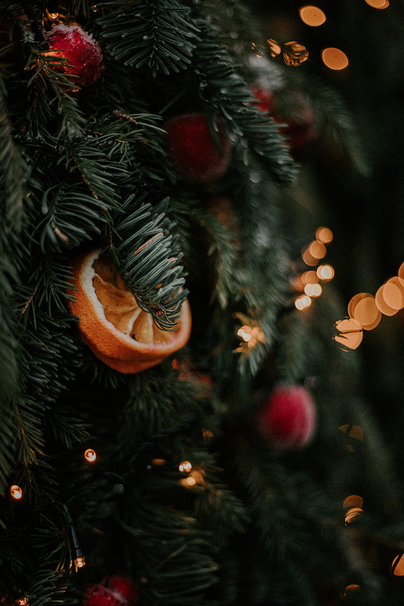 christmas tree, decoration, garland, holiday, new year, HD phone wallpaper