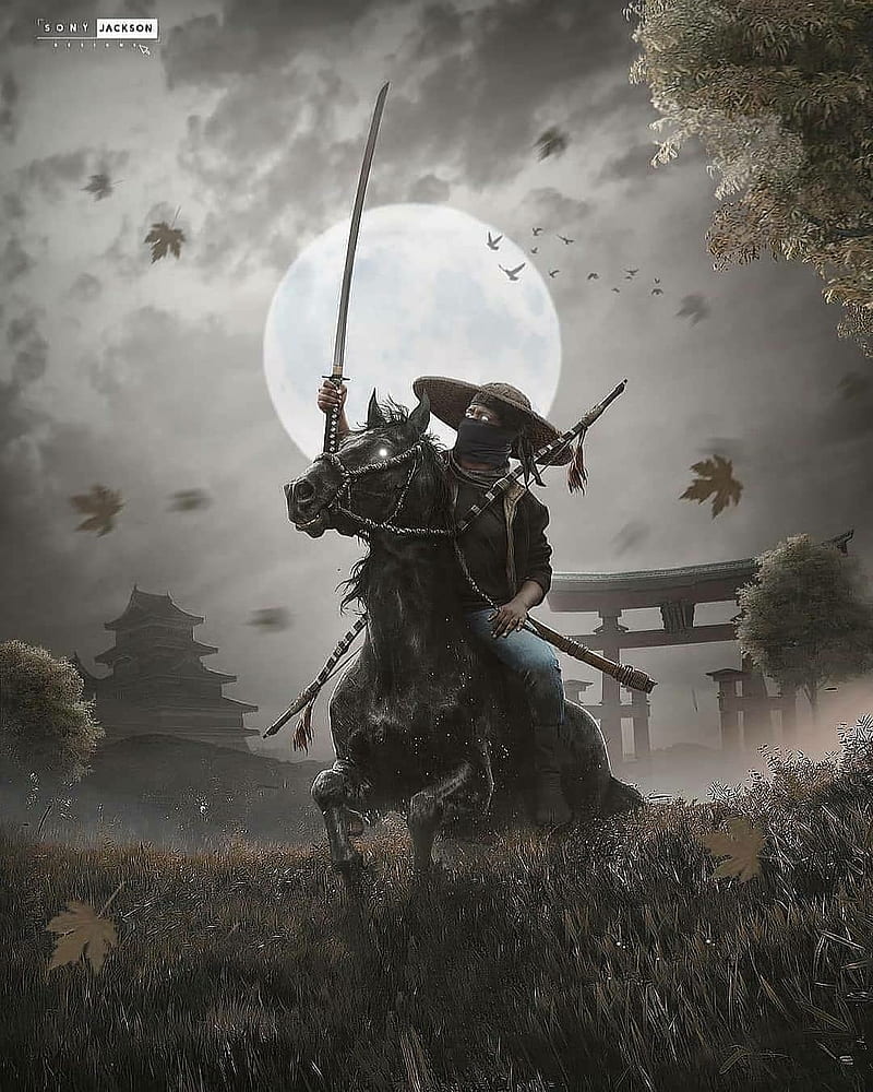 Rider Ninja, animation, art, fighter, samurai, soldier, warrior, wars, HD phone wallpaper