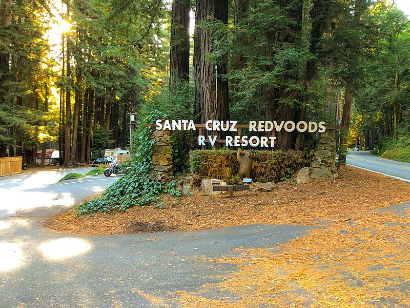 Santa Cruz Redwoods RV Resort – Roadside Secrets, HD wallpaper
