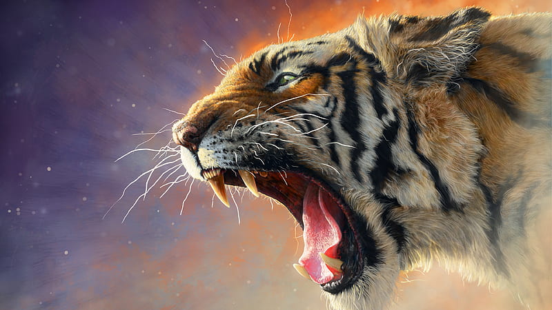 Cats, Tiger, Roar, HD wallpaper