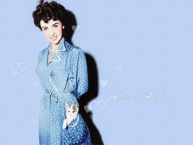 Liz Taylor, actress, people, cat, kitten, woman, blue, elizabeth taylor, HD wallpaper