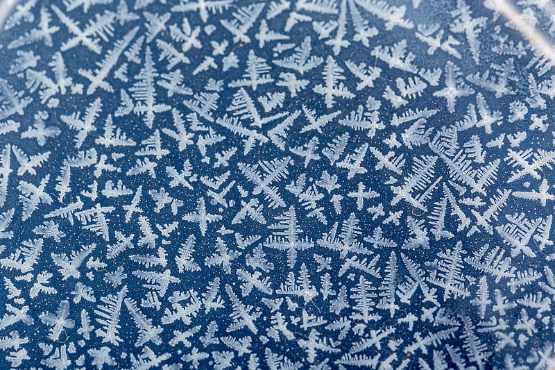 ice, frost, macro, surface, blue, HD wallpaper