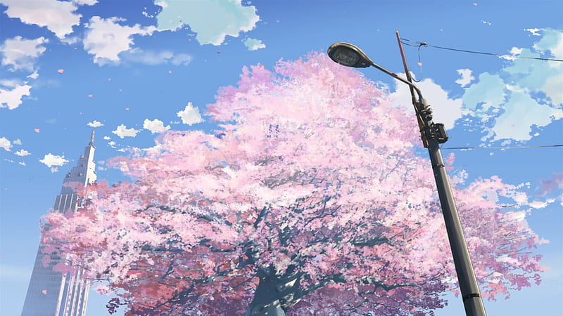 tree, 5 centimeters per second, anime other, HD wallpaper