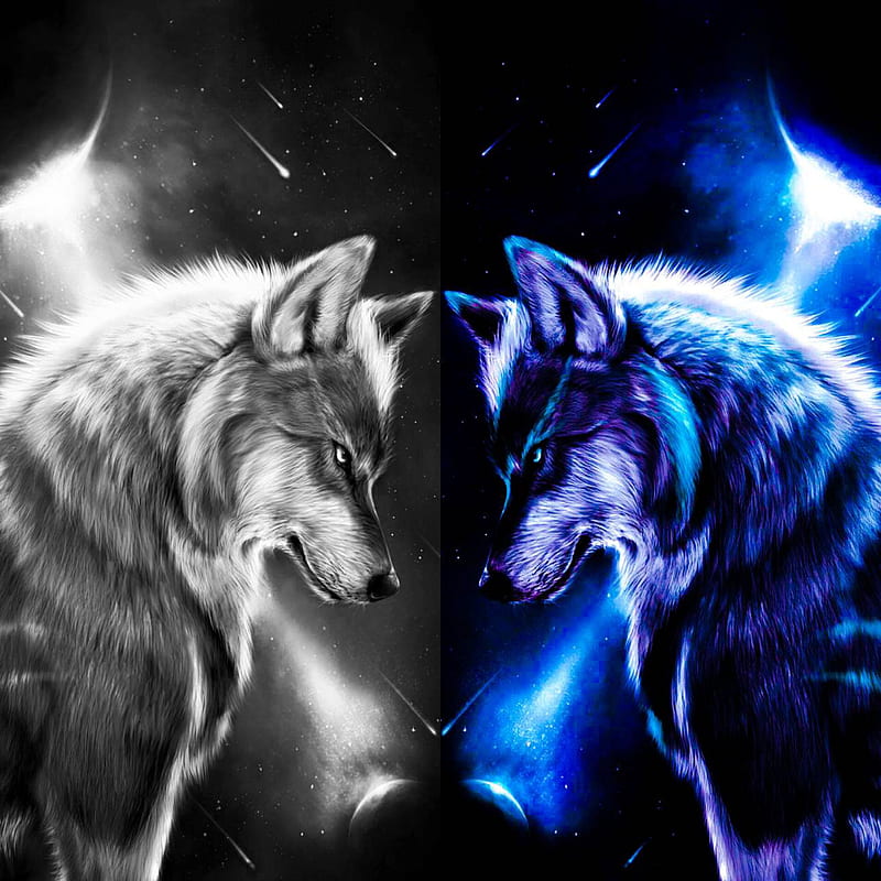 Wolf wall 4, wolves, HD phone wallpaper