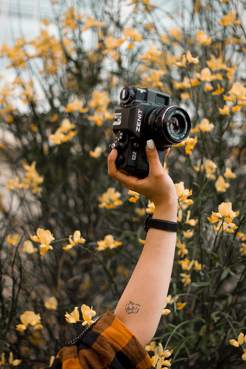 camera, retro, hand, flowers, tattoo, HD phone wallpaper