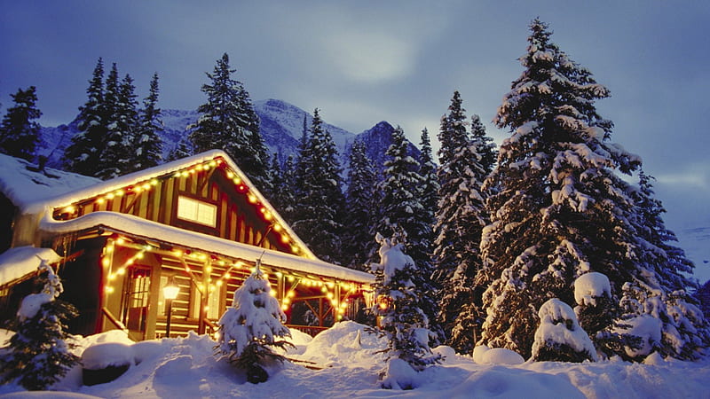 christmas in the woods, forest, christmas, mountains, cabin, winter, HD wallpaper