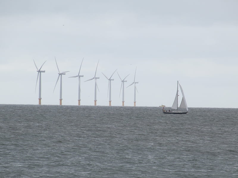 Wind Farm & Yacht, Wind Power, Yachts, Seafronts, Horizon, Sailing, HD wallpaper