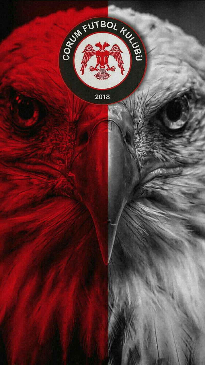 Corumspor , eagles, flag, kar, HD phone wallpaper