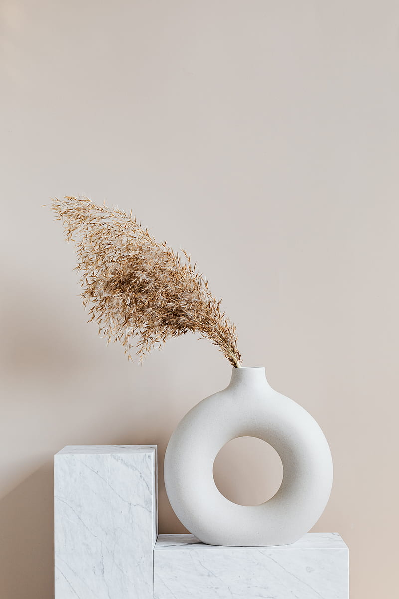 Brown Plant on White Ceramic Vase, HD phone wallpaper