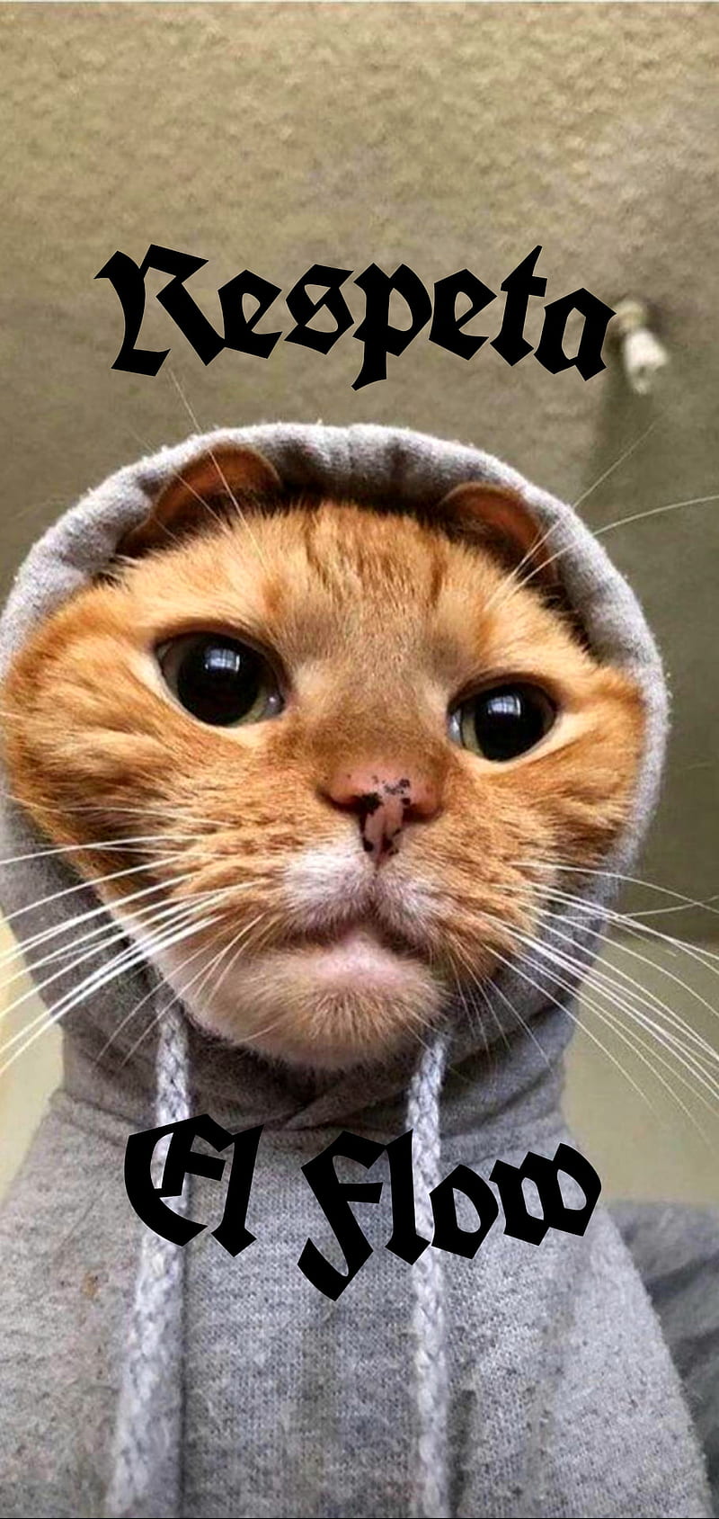 Meet 'Big Floppa' - the hero of the most popular cat meme of 2020