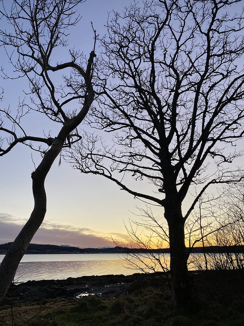 river, trees, shore, dusk, nature, HD phone wallpaper