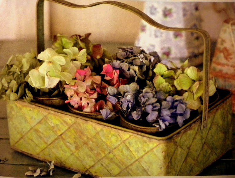 Summer Basket, flowers, metal basket, hydrangeas, green metal, HD wallpaper