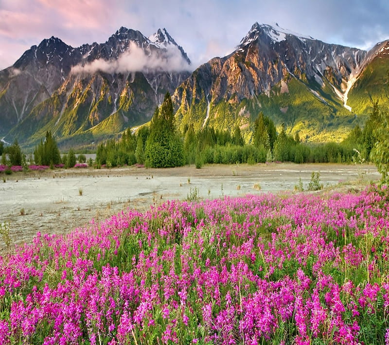 Mountains, landscape, mountins, nature, spring, HD wallpaper | Peakpx