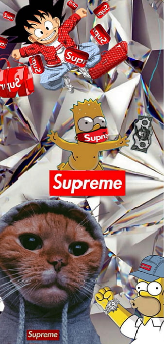Supreme Cat, cat, hypebeast, louis vuitton, supreme, HD phone