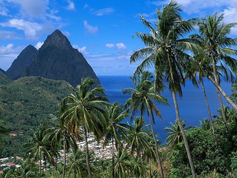 Island life (St Lucia, West Indies), mountains, island, trees, tropical, palm trees, HD wallpaper