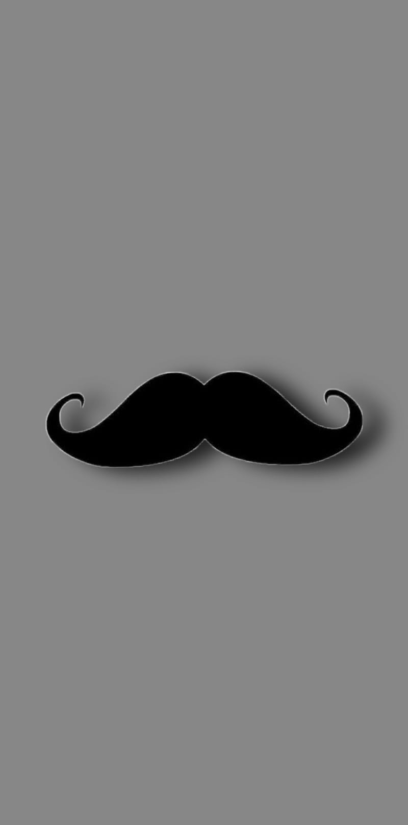 Moustaches, bass, HD phone wallpaper