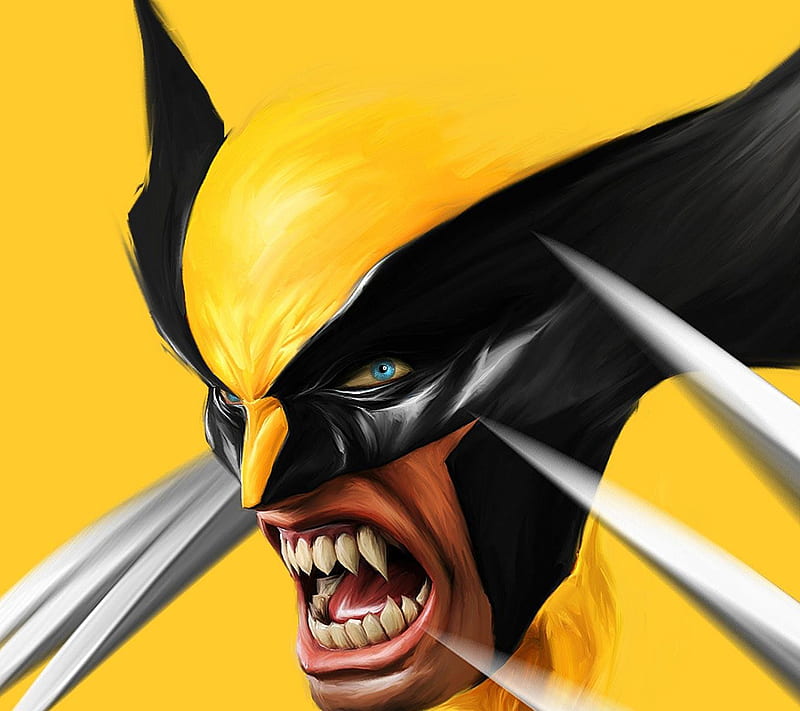 Deadpool v Wolverine, comics, marvel, HD phone wallpaper | Peakpx