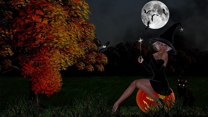 Witch on Pumpkin, pumpkin, Fall trees, Full Moon, Witch, Black Cat, HD wallpaper