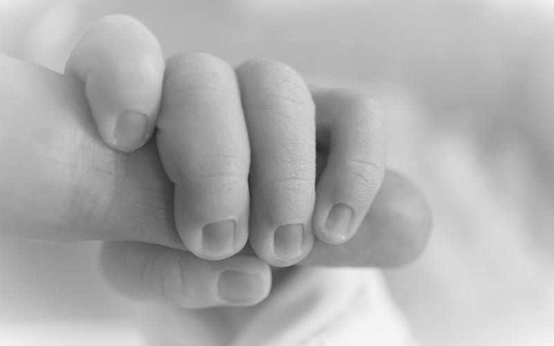 family concepts, hands of mom and baby, birth of a child, motherhood concepts, children, HD wallpaper