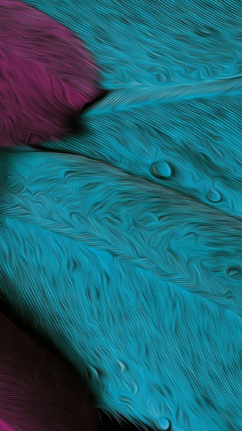 Plumage Feather Bird P, Carsstoon, Pink, Turquoise, Violet, HD phone wallpaper