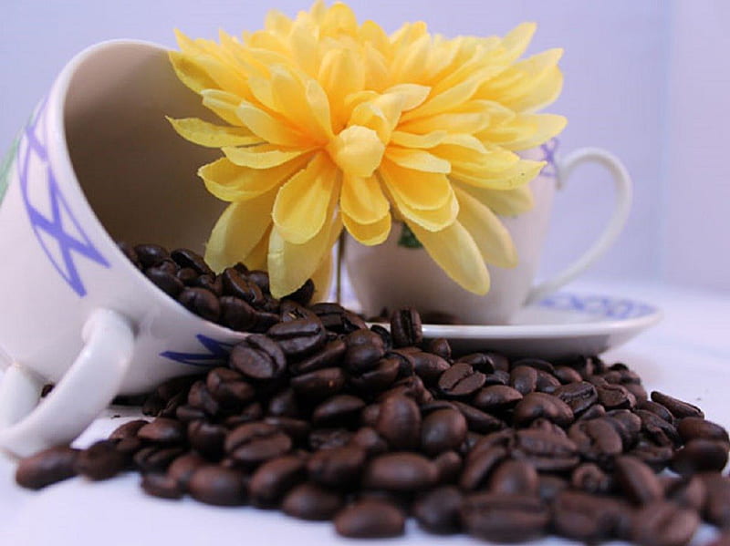 Coffee Cup, Cup, Decoration, Coffee, Flower, HD wallpaper | Peakpx