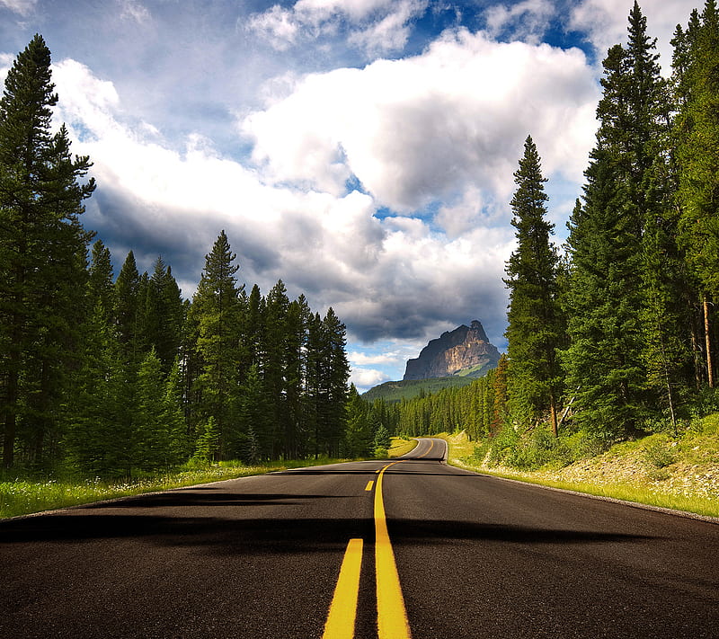 Road To Mountain, green, nature, HD wallpaper