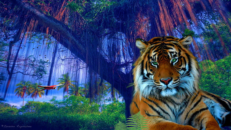 Jungle Tiger, jungle, tiger, animal, wild cat, HD wallpaper | Peakpx