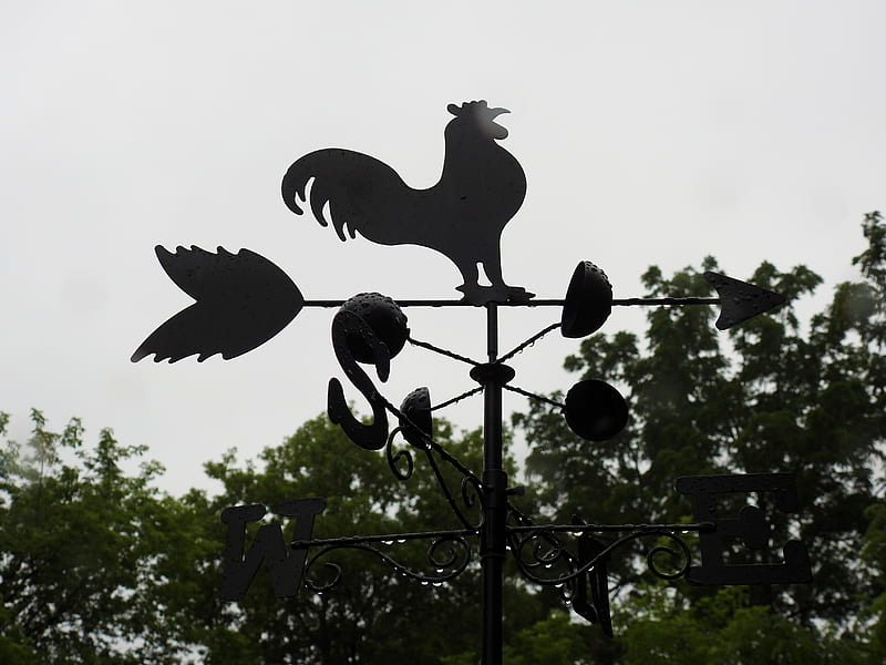 Rooster Weather Vane, Wind Vane, Trees, Abstract, graphy, Rooster, Weather Vane, HD wallpaper