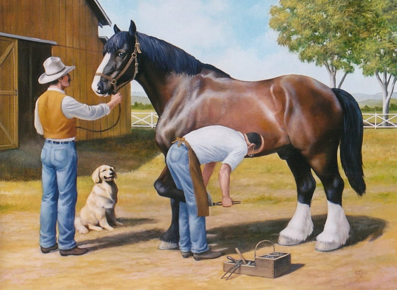 Blacksmith, gentle, farm horse, shoeing, dog, HD wallpaper