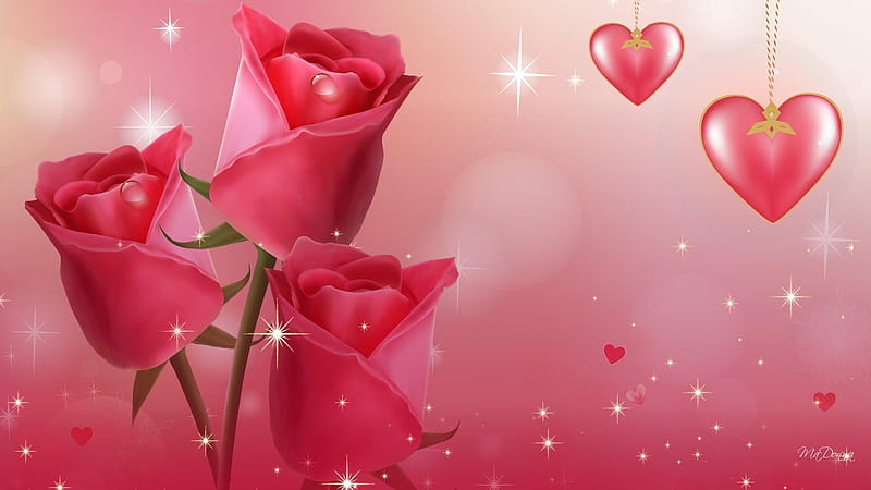 Lovely Roses, thorns, stems, rose, corazones, HD wallpaper