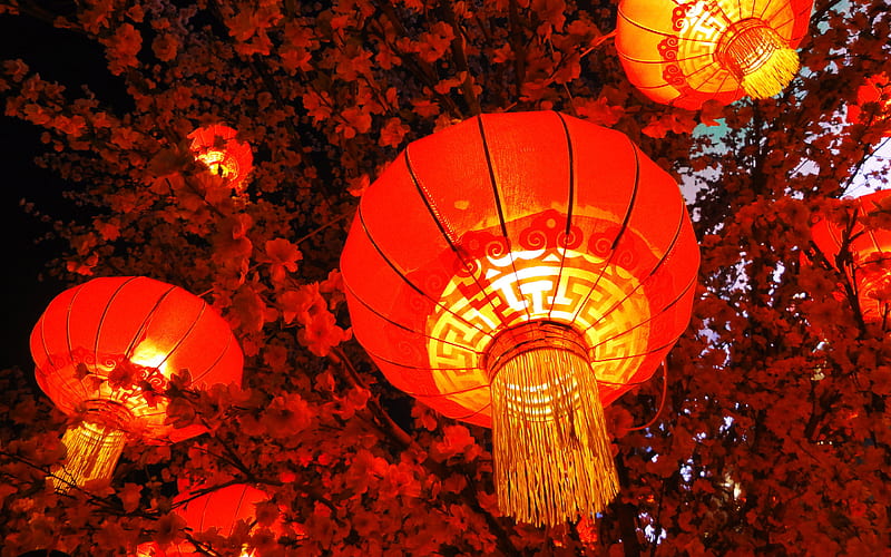 Chinese fairy-lights evening, Chinese festival, close-up, fairy-lights, HD wallpaper