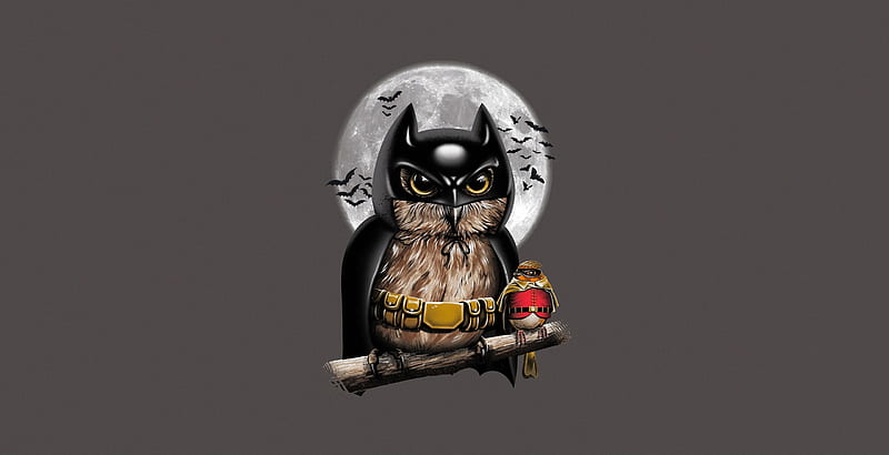 Batman Owl Robin Digital Art, batman, robin, owl, superheroes, artist, artwork, digital-art, HD wallpaper
