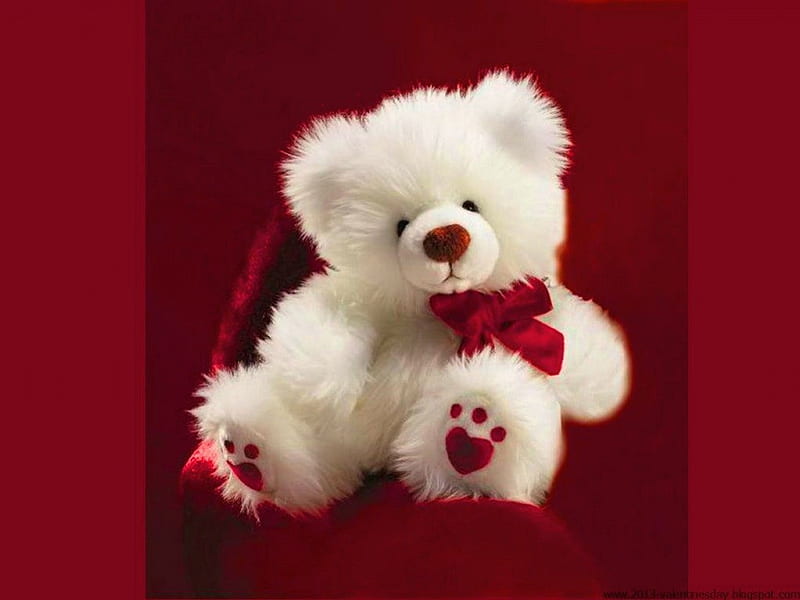 Teddy bear hugs, cute, red, Teddy bear, toy, white, HD wallpaper | Peakpx