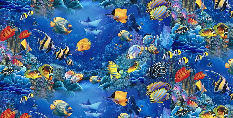 FISH OF THE SEA, colorful, fish, sea, HD wallpaper | Peakpx